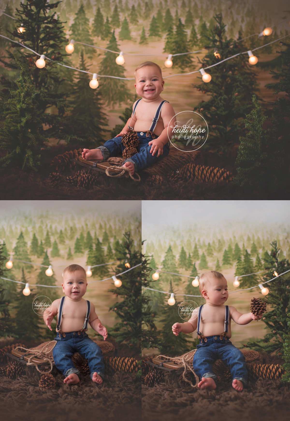 Photographer Rising » A sneak peek of our Winter 2016 Rustic Pine backdrop for photographers ...